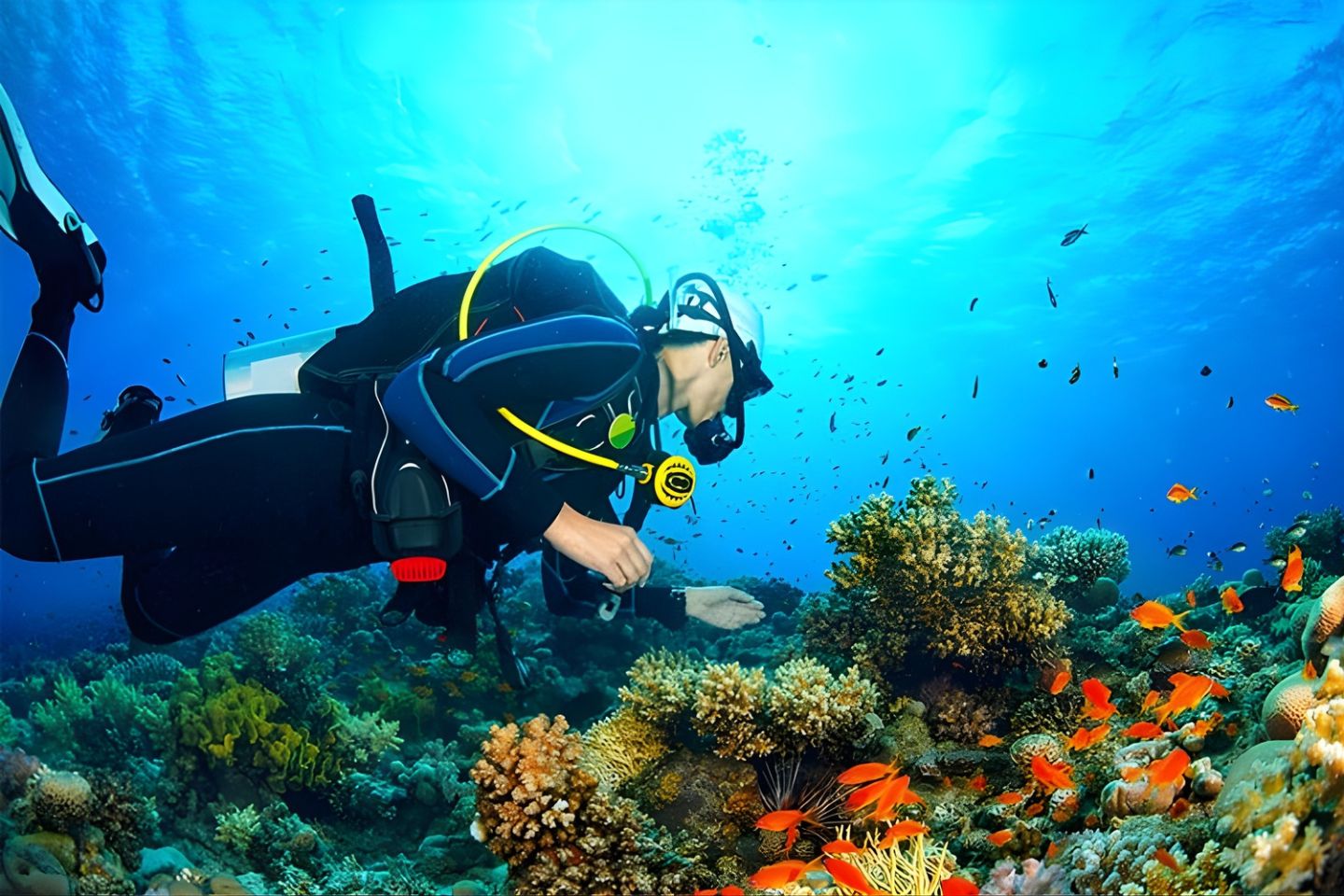Sea World Aquarium, Rameswaram